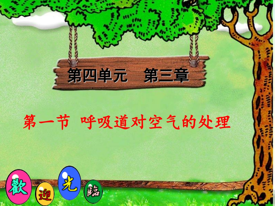 第三章第一节《呼吸道对空气的处理》_第1页