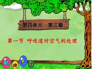 第三章第一节《呼吸道对空气的处理》
