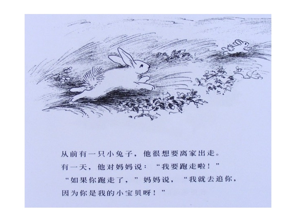 逃家小兔 (2)_第2页