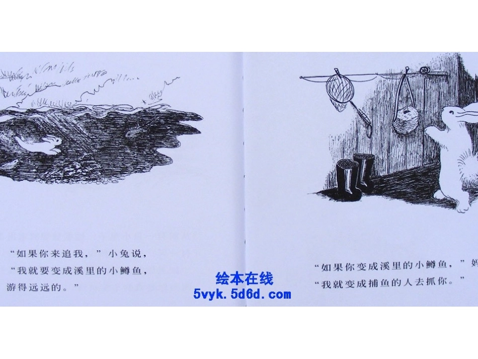 逃家小兔 (2)_第3页