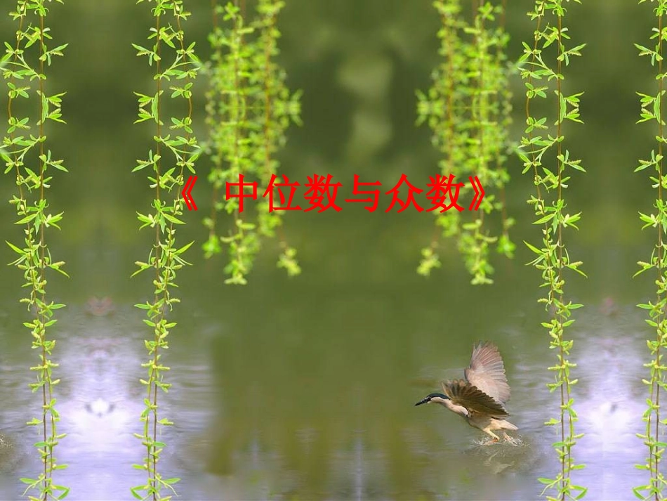 中位数与众数_第1页