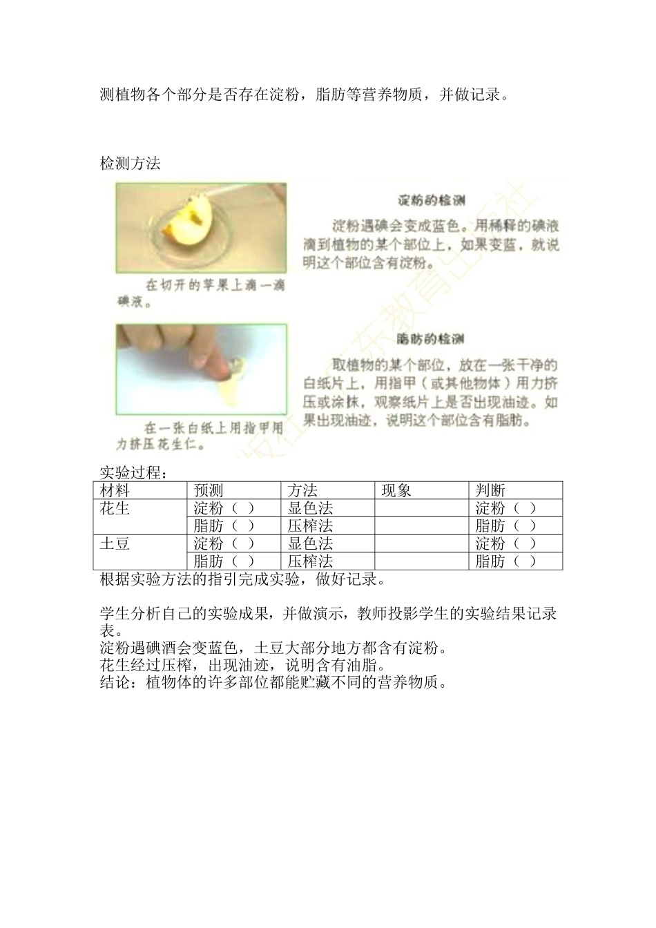 8养分藏在哪里_第3页