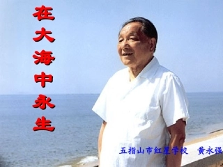 在大海中永生