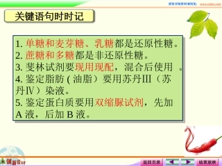 课件2物质的鉴定