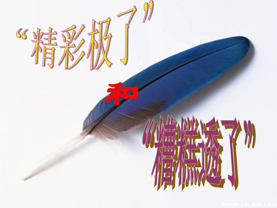 19、精彩极了和糟糕透了课件_第1页