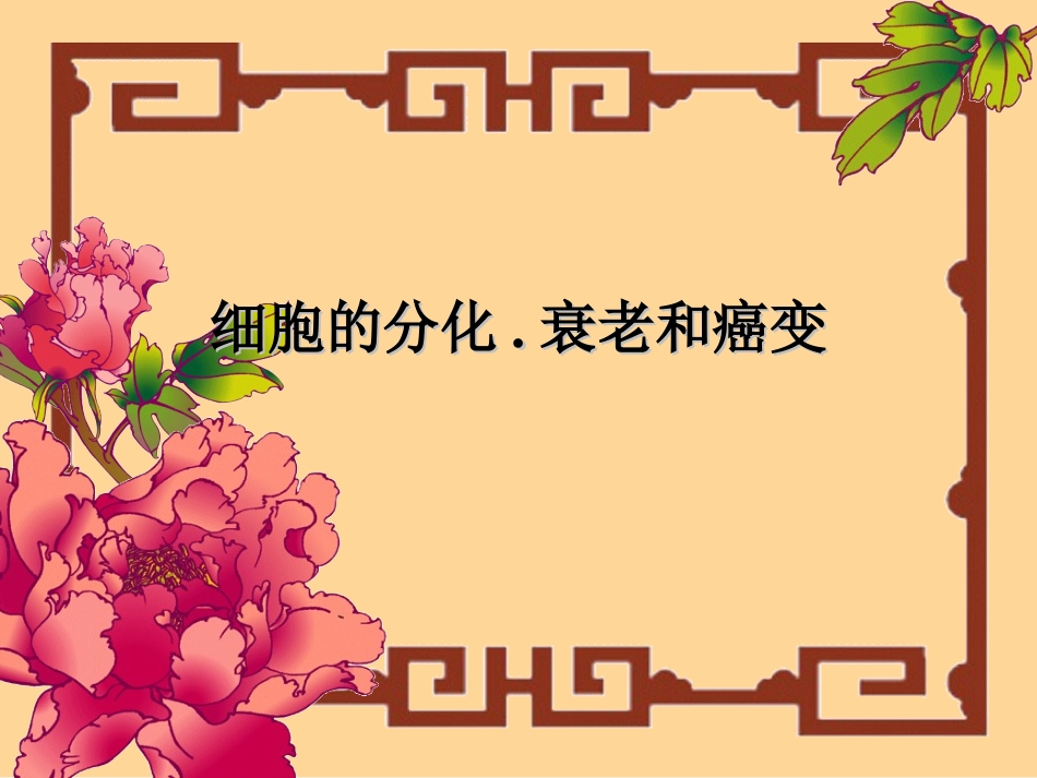 细胞的分化衰老_第1页