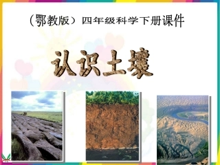 课件_认识土壤