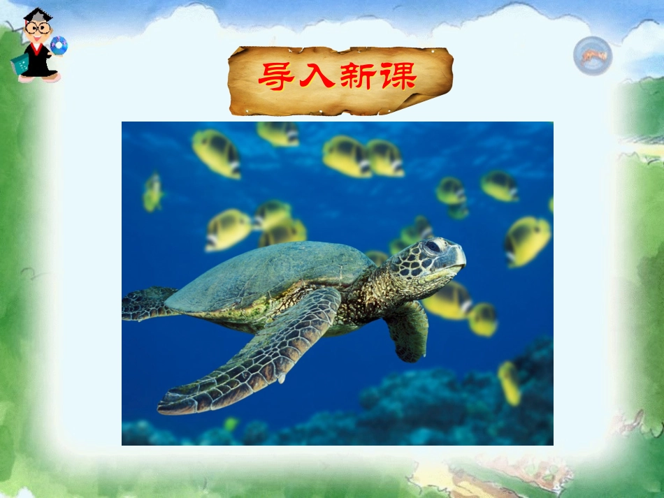 9自然之道 (3)_第1页