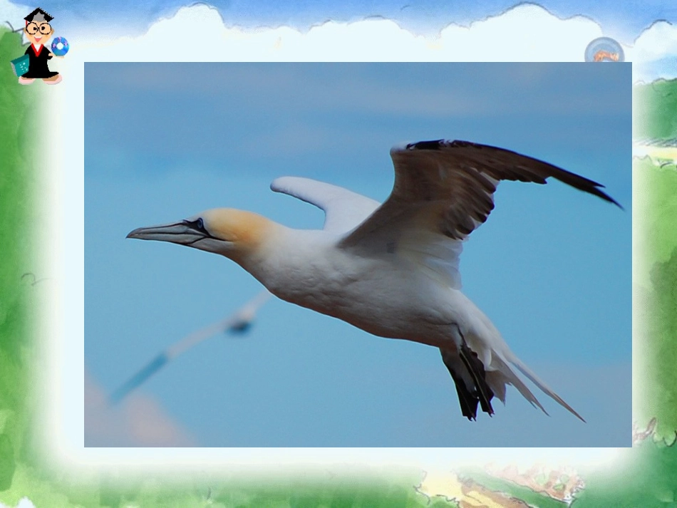 9自然之道 (3)_第3页