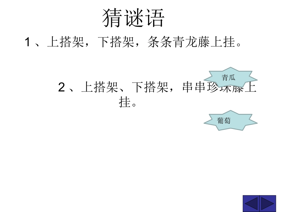 5爬山虎的脚(1)_第1页