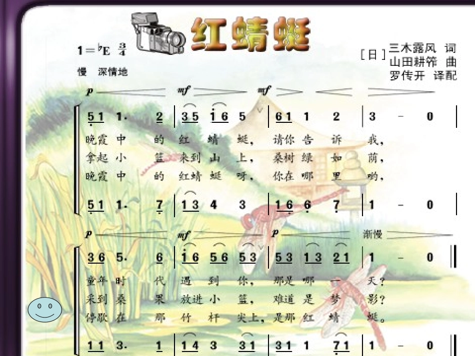 演示红蜻蜓1_第3页