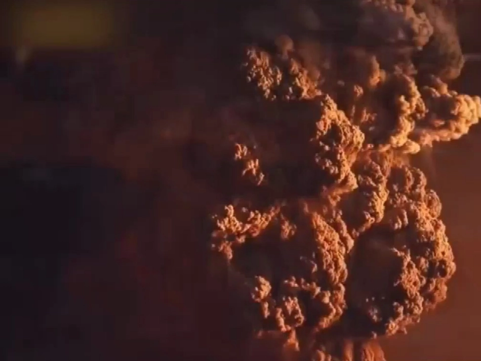 44群落的演替课件_第1页