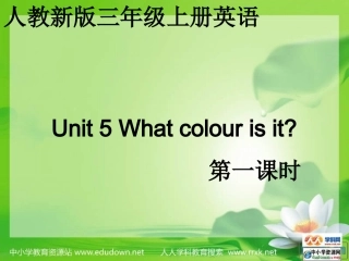 Unit5Whatcolourisit(一)