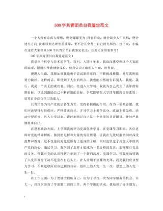 500字共青团员自我鉴定范文 