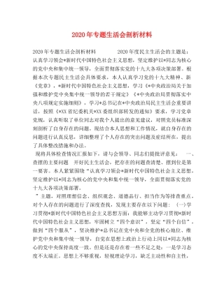 2024年专题生活会剖析材料 