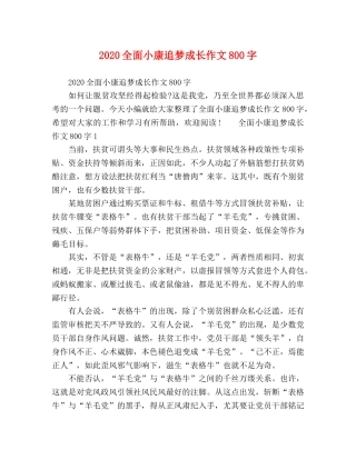 2024全面小康追梦成长作文800字 