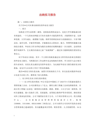 出纳实习报告 