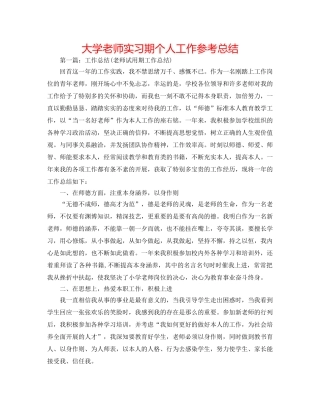 大学教师实习期个人工作参考总结 