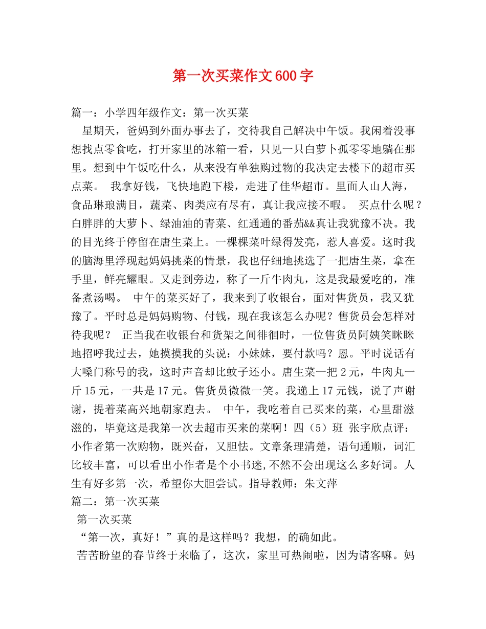 第一次买菜作文600字 _第1页