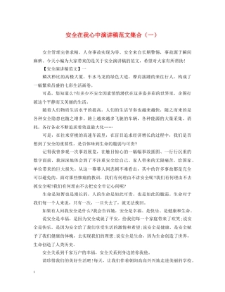 安全在我心中演讲稿范文集合（一） 