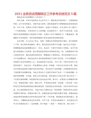 2024业务员试用期转正工作参考总结范文5篇 