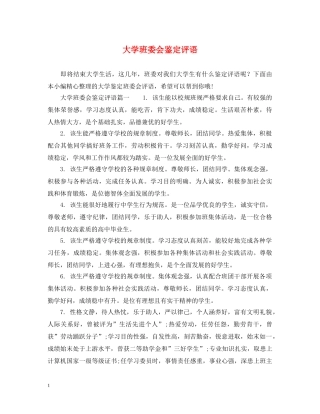 大学班委会鉴定评语 