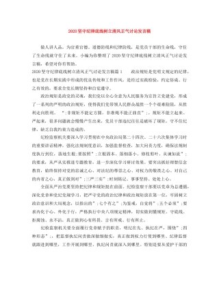 2024坚守纪律底线树立清风正气讨论发言稿 