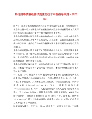 肠道病毒核酸检测试剂注册技术审查指导原则（2024年） 