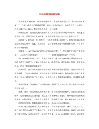 2024共青团演讲稿(4篇) 