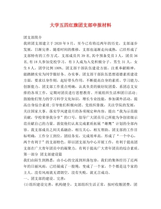 大学五四红旗团支部申报材料 