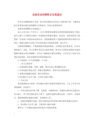 出纳员试用期转正自我鉴定 