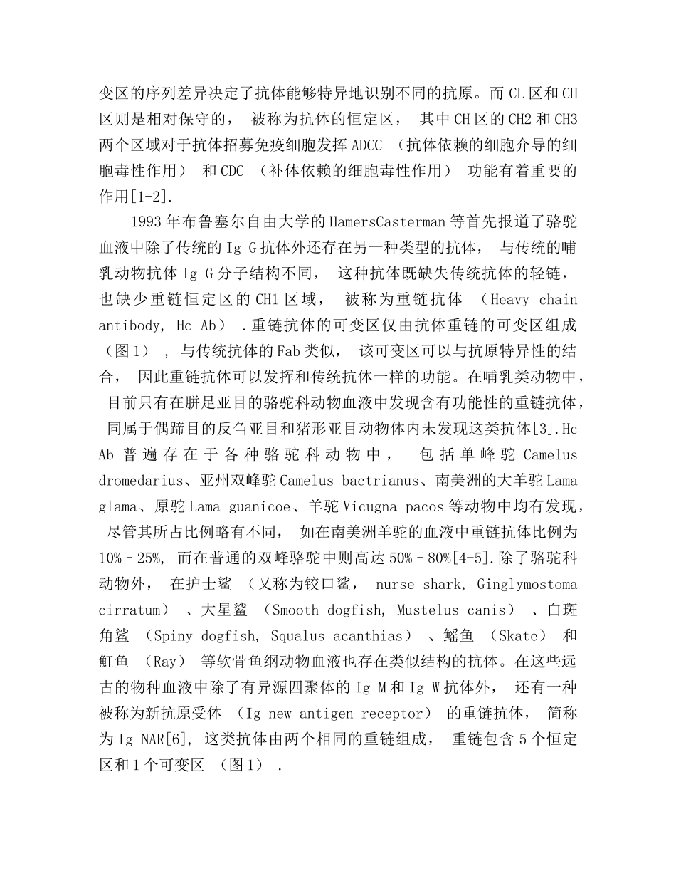单域抗体的研究和应用进展 _第2页