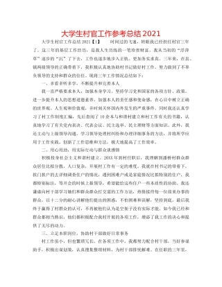 大学生村官工作参考总结2024 