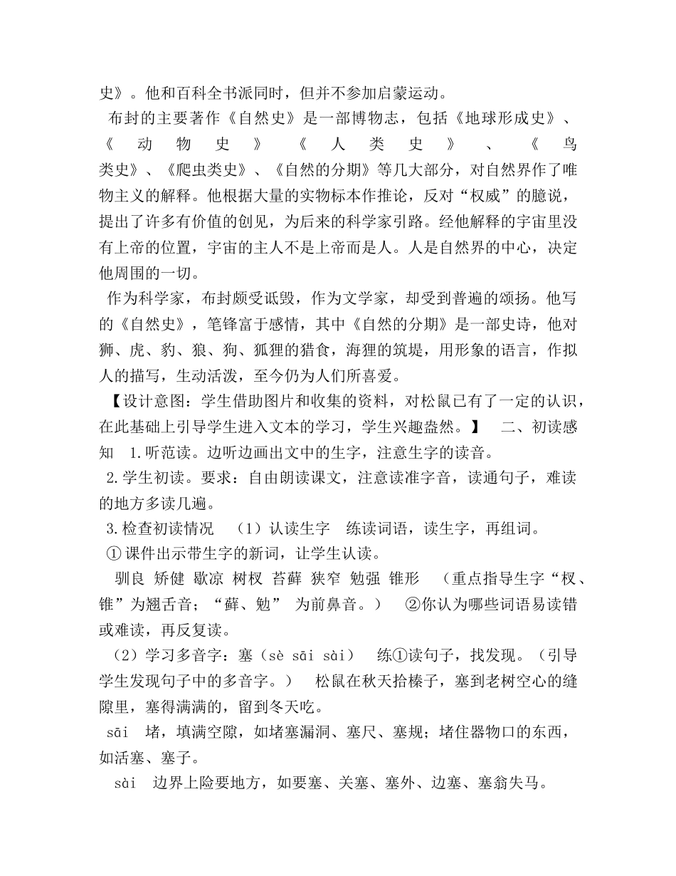 17松鼠（教案） _第3页