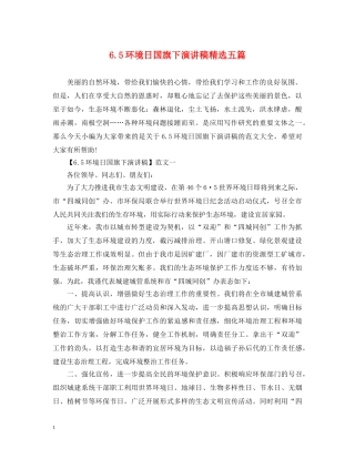 65环境日国旗下演讲稿精选五篇 