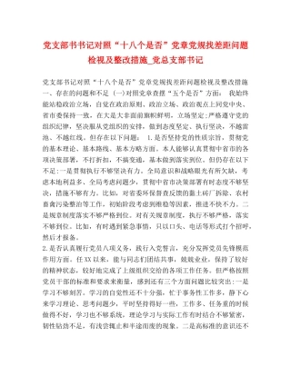 党支部书书记对照“十八个是否”党章党规找差距问题检视及整改措施_党总支部书记 