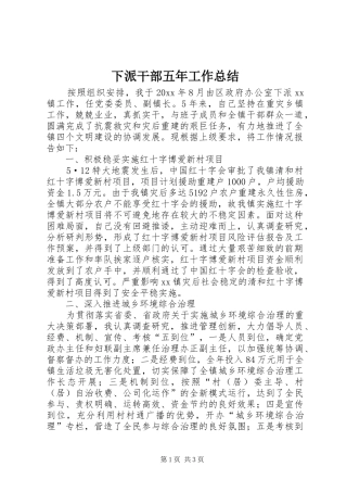 下派干部五年工作总结 (10)