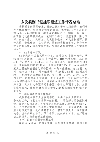 乡党委副书记挂职锻炼工作情况总结