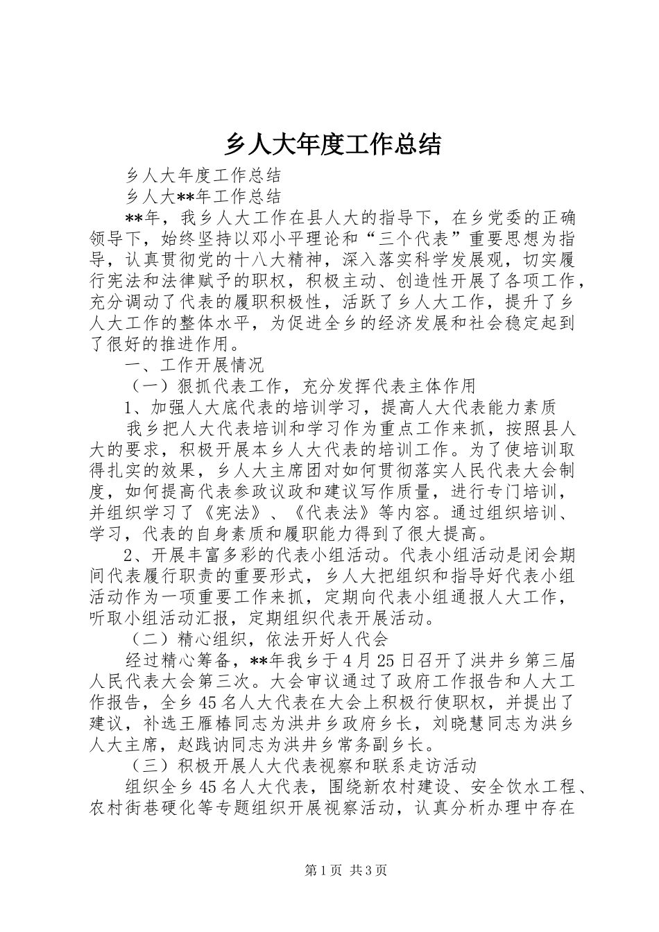 乡人大年度工作总结_第1页