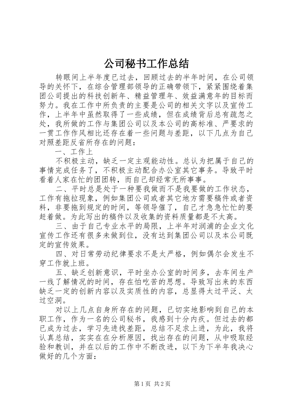 公司秘书工作总结_第1页
