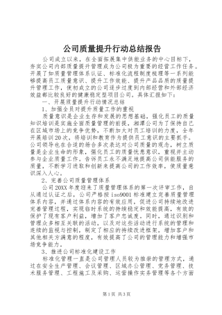 公司质量提升行动总结报告