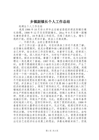 乡镇副镇长个人工作总结 (10)