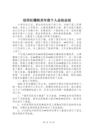 信用社稽核员年度个人总结总结