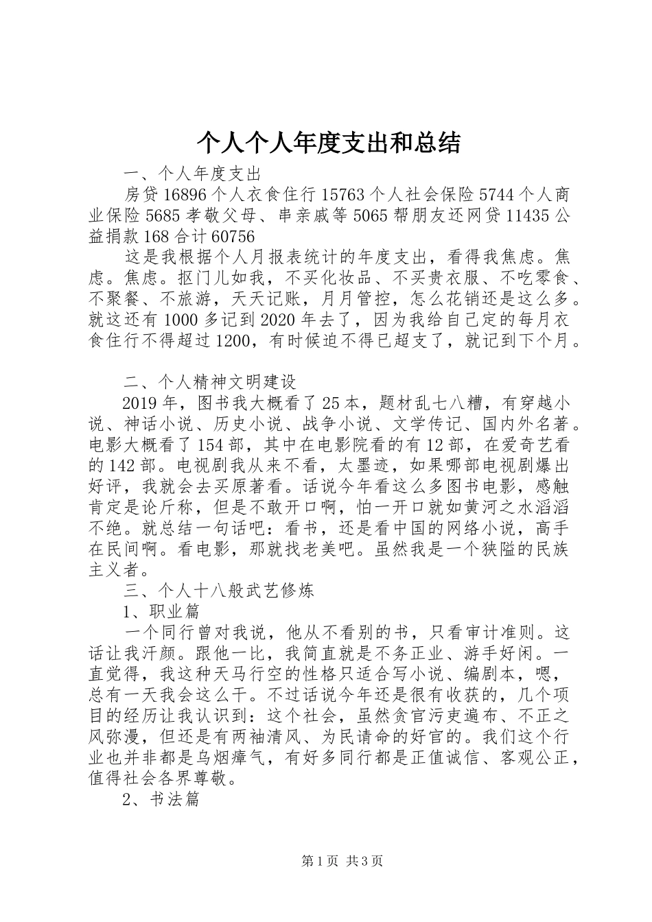 个人个人年度支出和总结_第1页