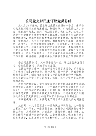 公司党支部民主评议党员总结