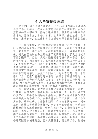 个人考察提拨总结 (11)