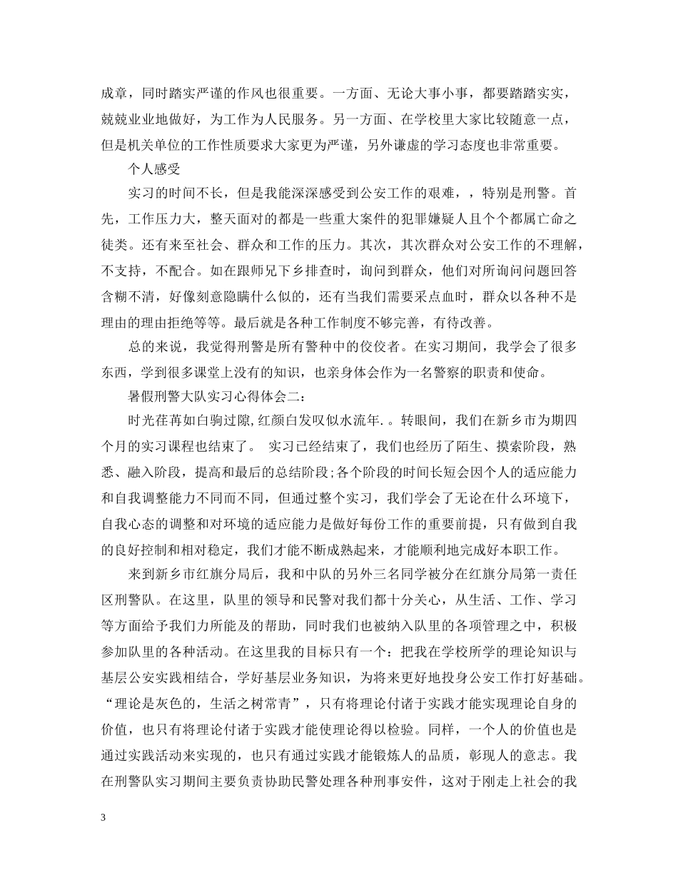 暑假刑警大队实习心得体会 _第3页
