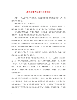 暑假刑警大队实习心得体会 