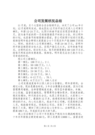 公司发展状况总结