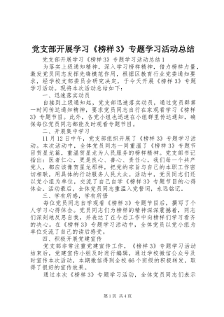 党支部开展学习《榜样3》专题学习活动总结